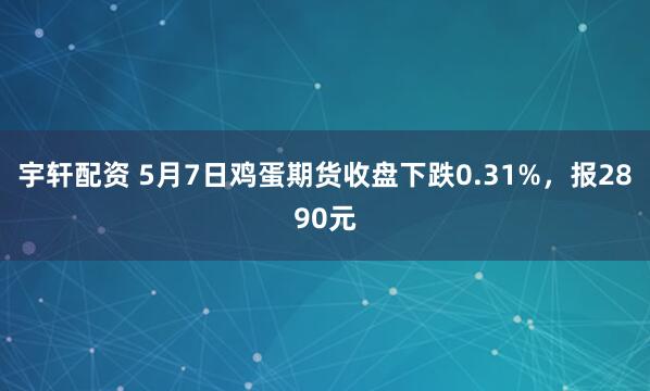 宇轩配资 5月7日鸡蛋期货收盘下跌0.31%，报2890元