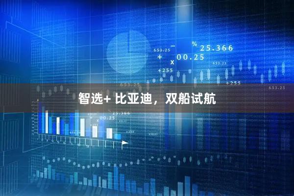 智选+ 比亚迪，双船试航