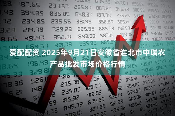 爱配配资 2025年9月21日安徽省淮北市中瑞农产品批发市场价格行情