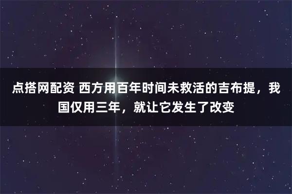 点搭网配资 西方用百年时间未救活的吉布提,我国仅用三年,就让它发生了改变