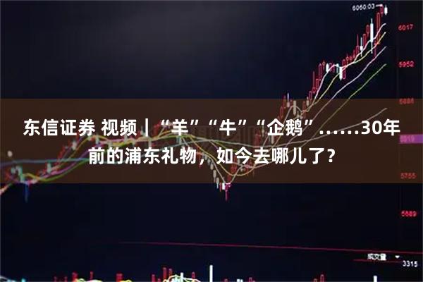 东信证券 视频｜“羊”“牛”“企鹅”……30年前的浦东礼物，如今去哪儿了？
